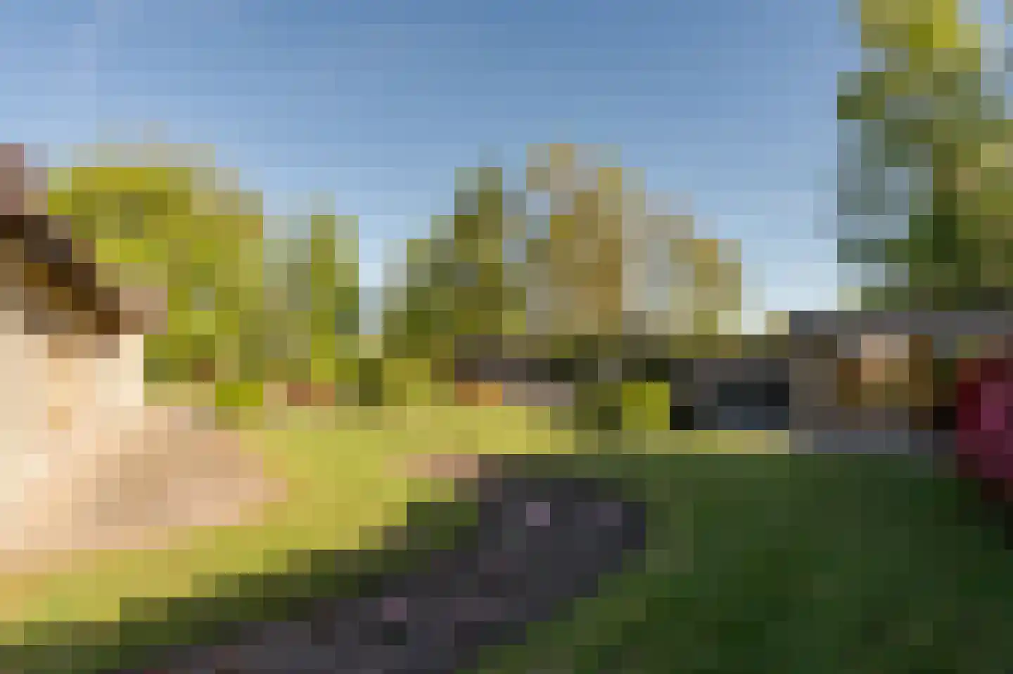 Barrier 8 10 Bergeijk thumbnail 45