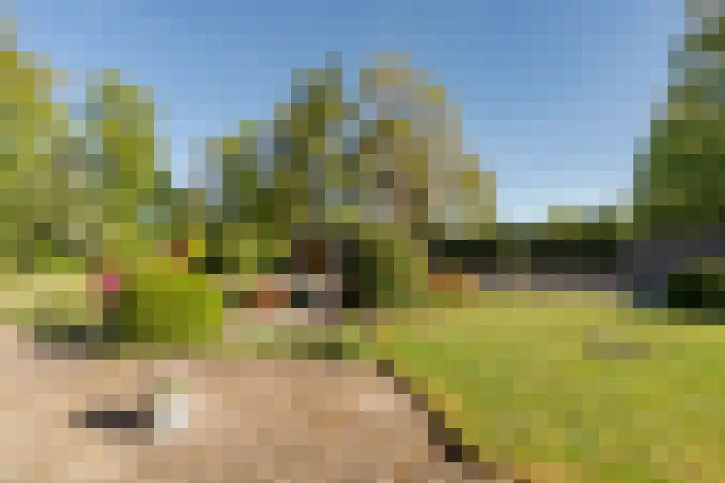 Barrier 8 10 Bergeijk thumbnail 48