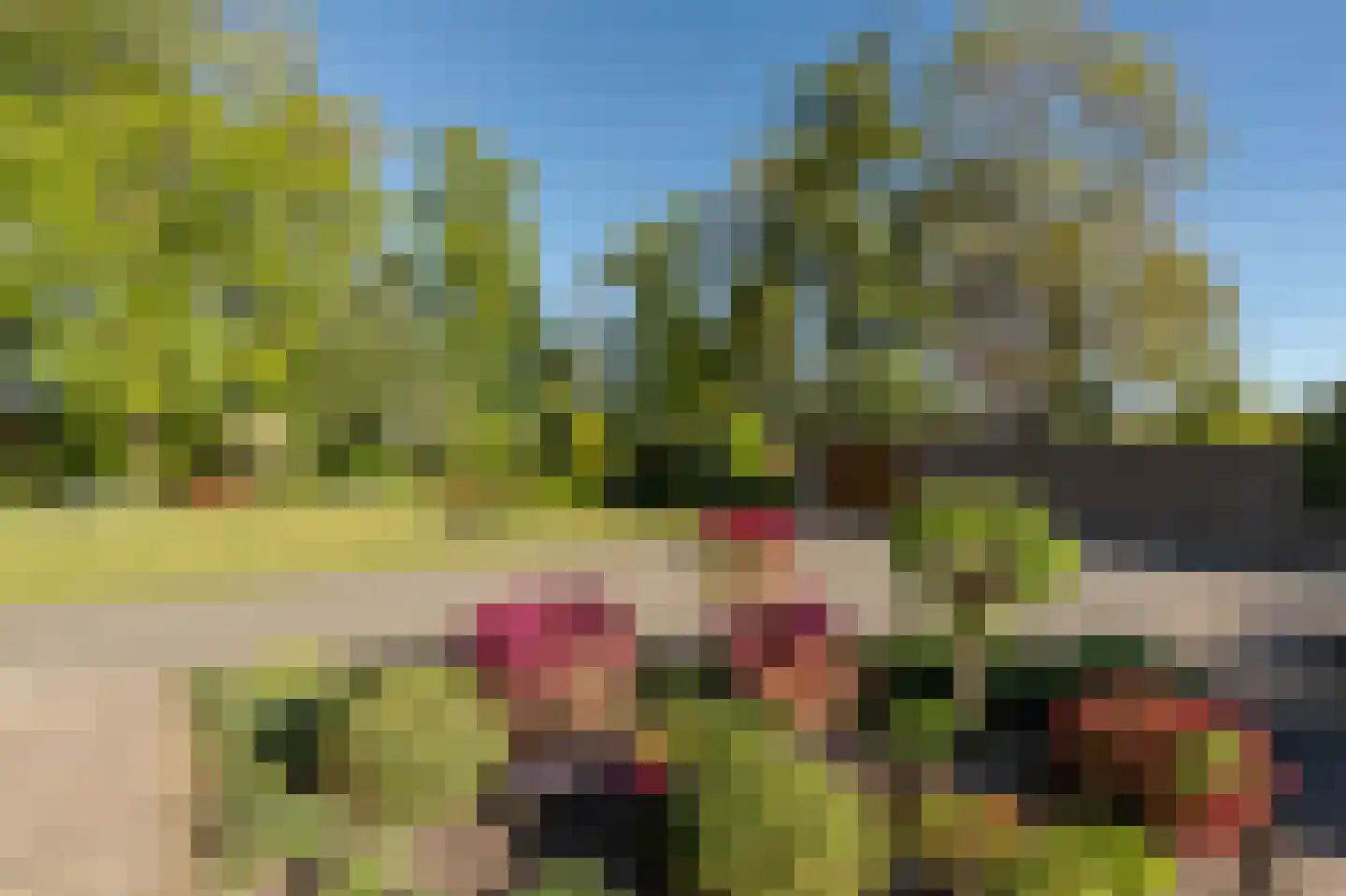 Barrier 8 10 Bergeijk thumbnail 50