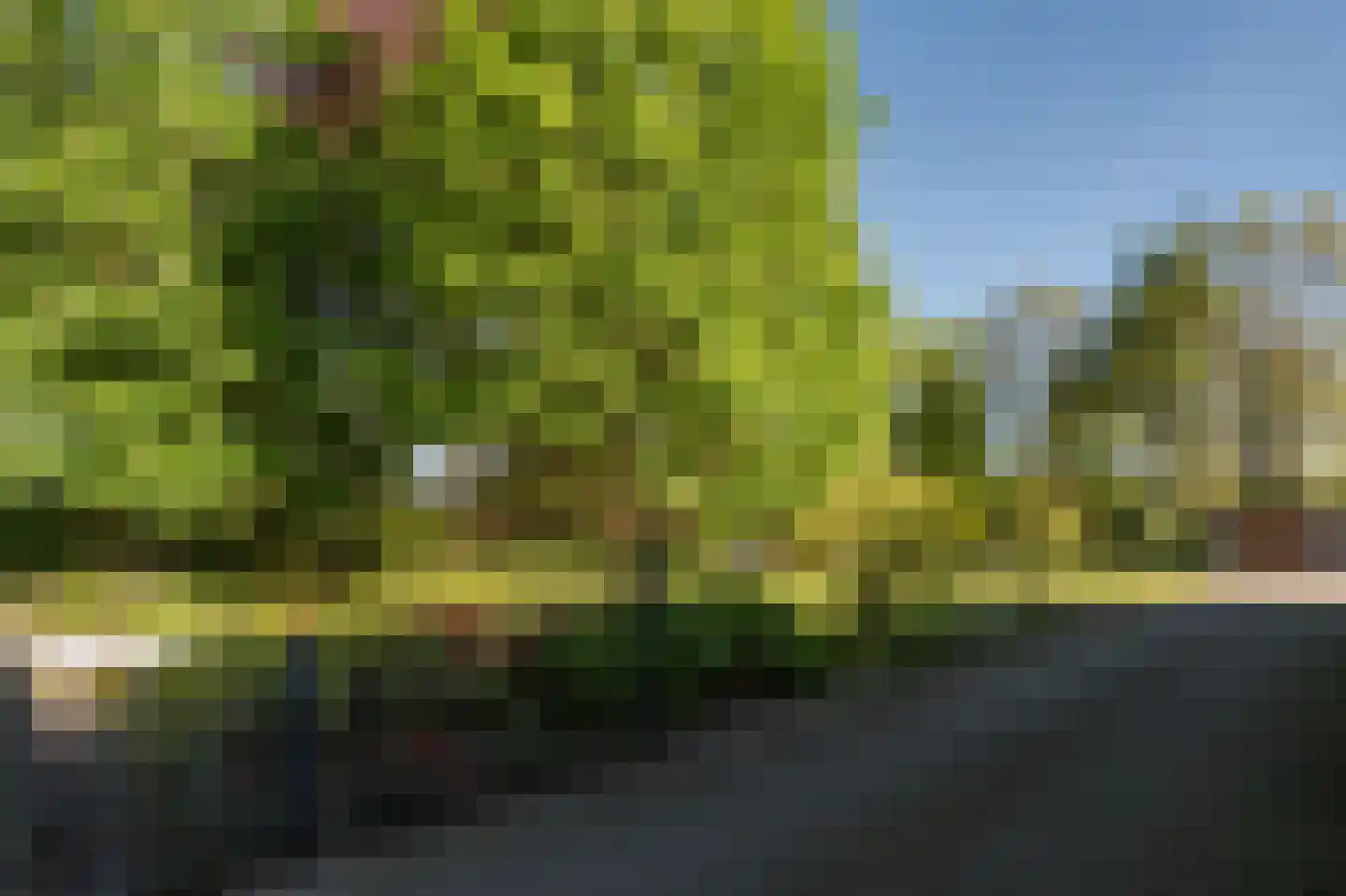 Barrier 8 10 Bergeijk thumbnail 51
