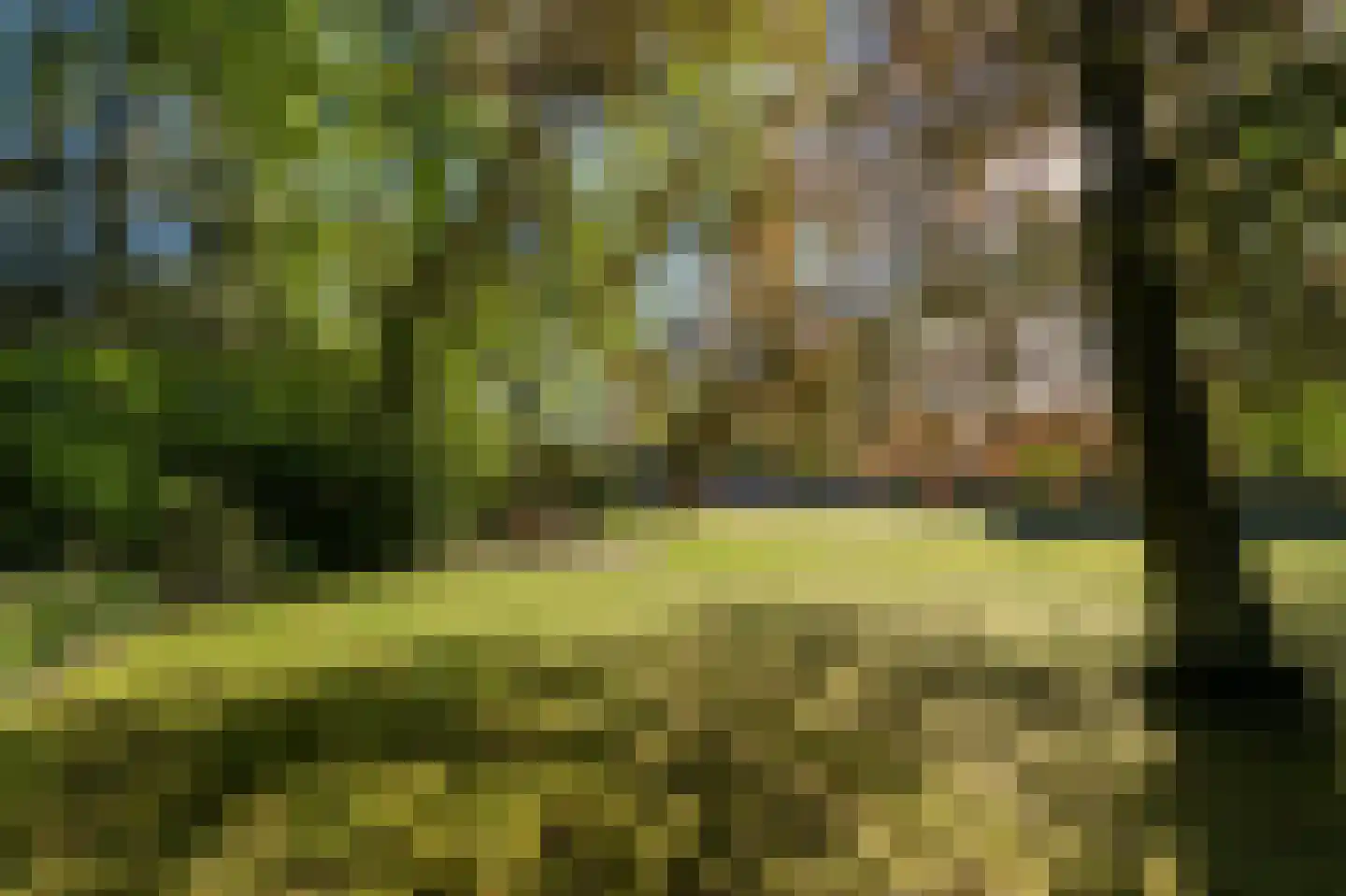 Barrier 8 10 Bergeijk thumbnail 53