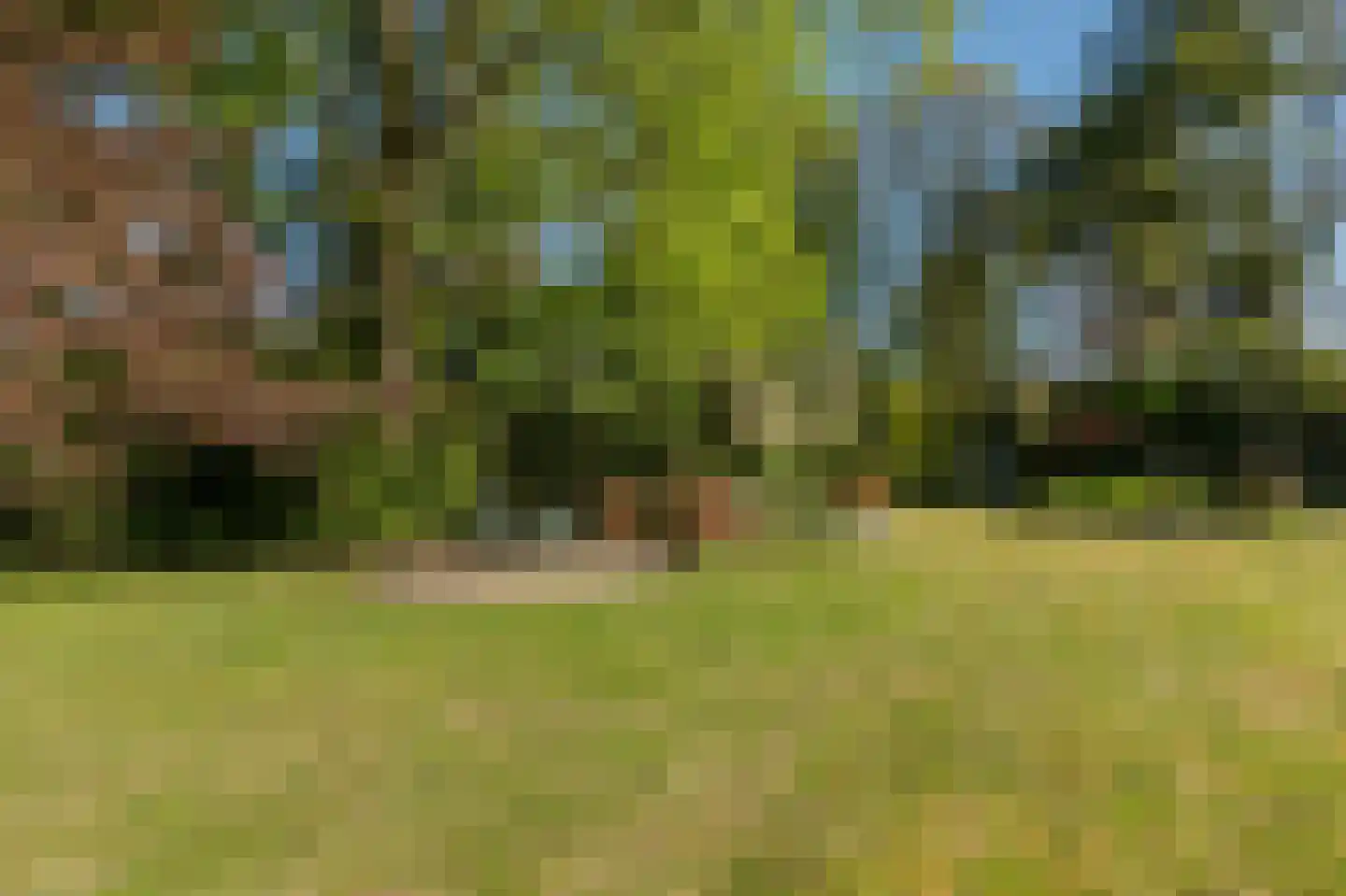 Barrier 8 10 Bergeijk thumbnail 54