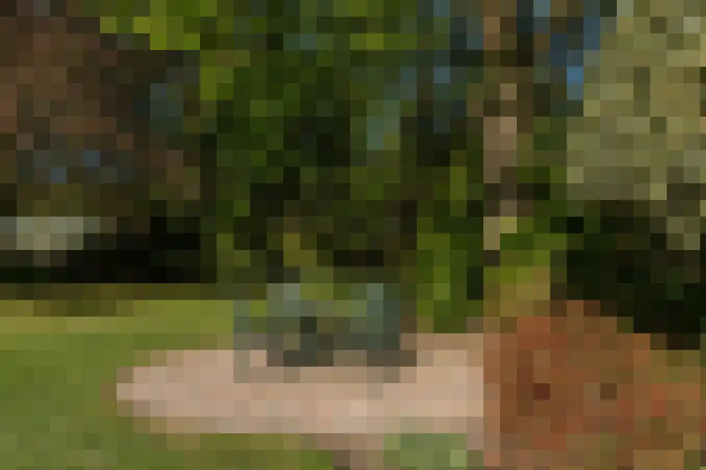 Barrier 8 10 Bergeijk thumbnail 55
