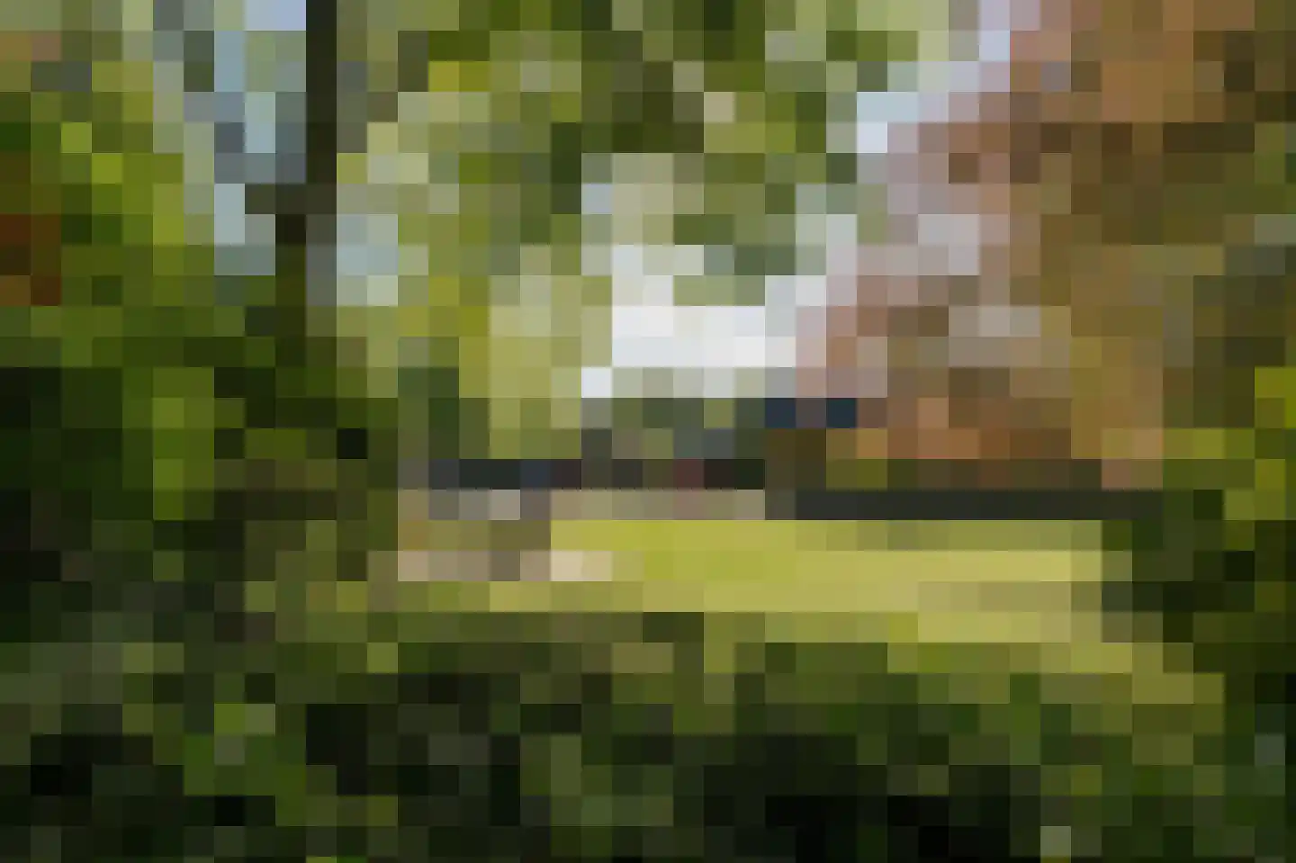 Barrier 8 10 Bergeijk thumbnail 56