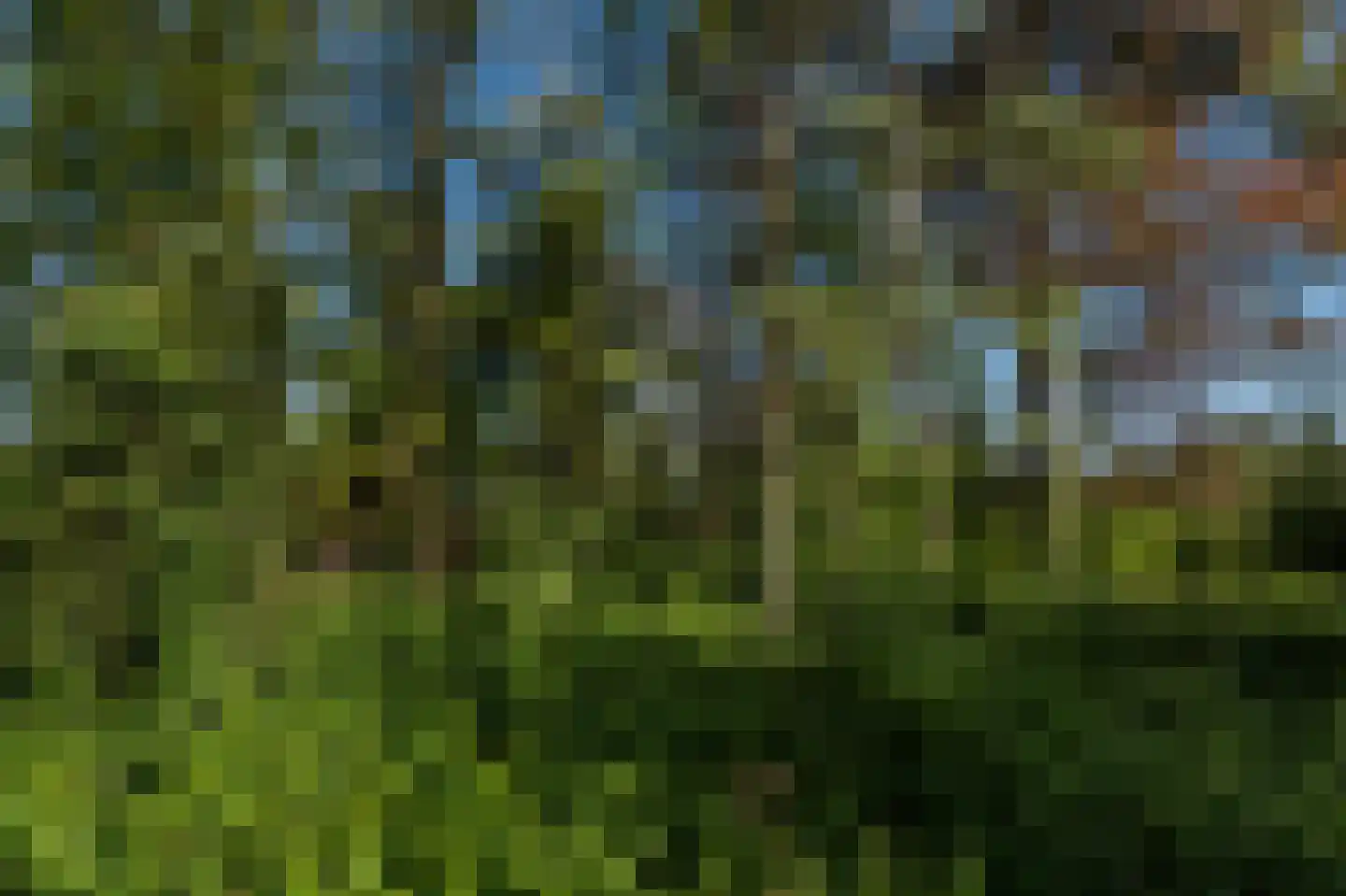 Barrier 8 10 Bergeijk thumbnail 58