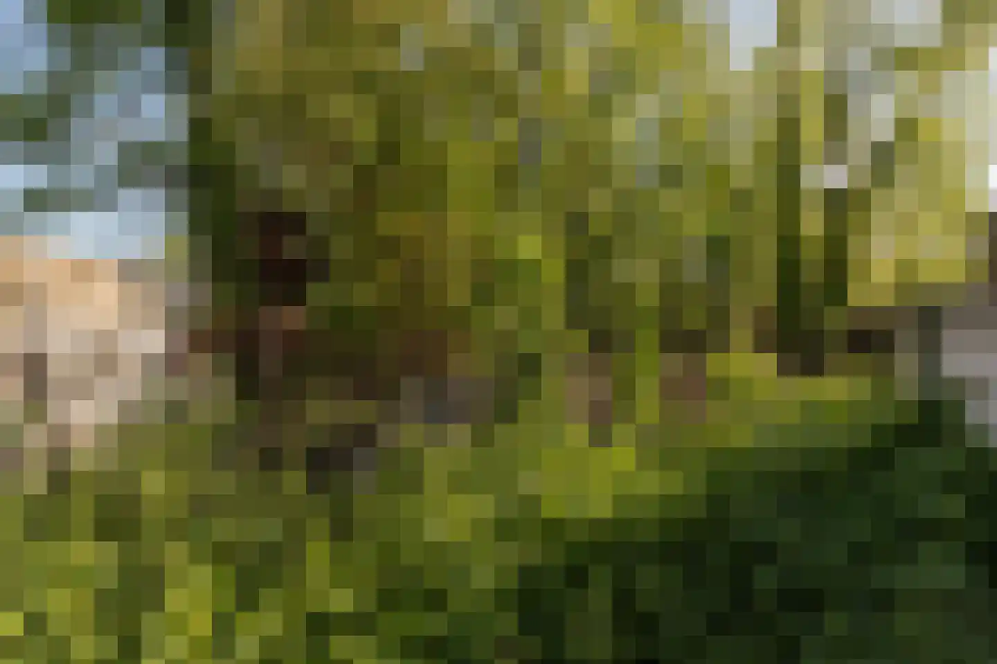 Barrier 8 10 Bergeijk thumbnail 59