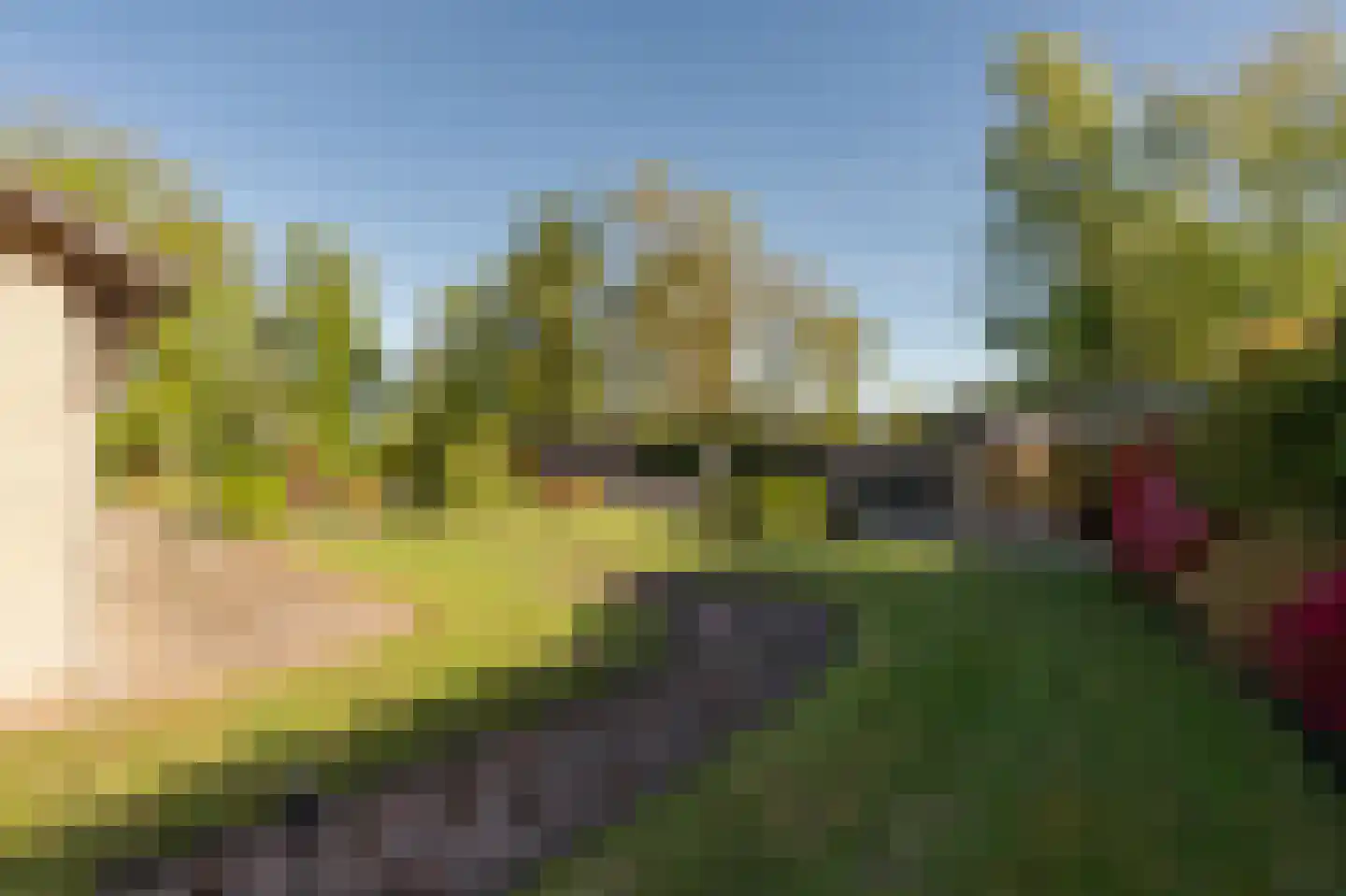 Barrier 8 10 Bergeijk thumbnail 6