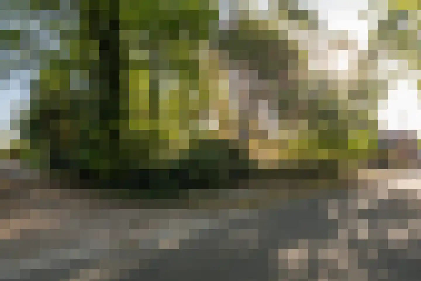 Barrier 8 10 Bergeijk thumbnail 64