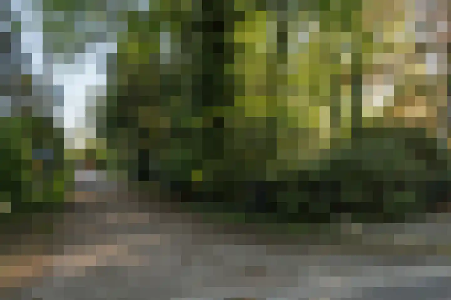 Barrier 8 10 Bergeijk thumbnail 65