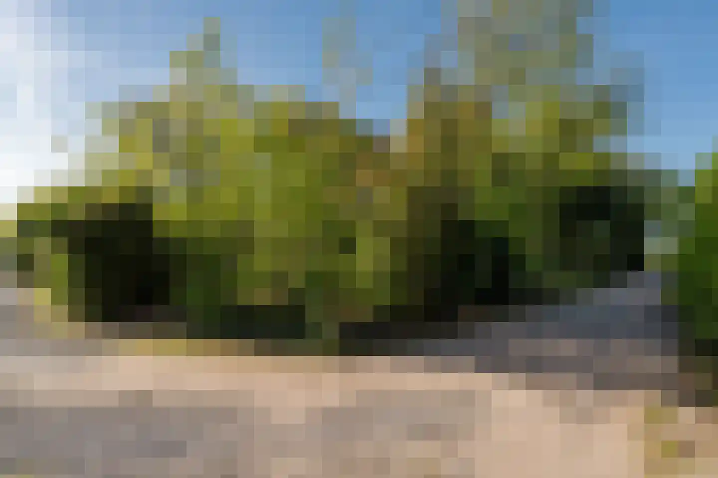 Barrier 8 10 Bergeijk thumbnail 66