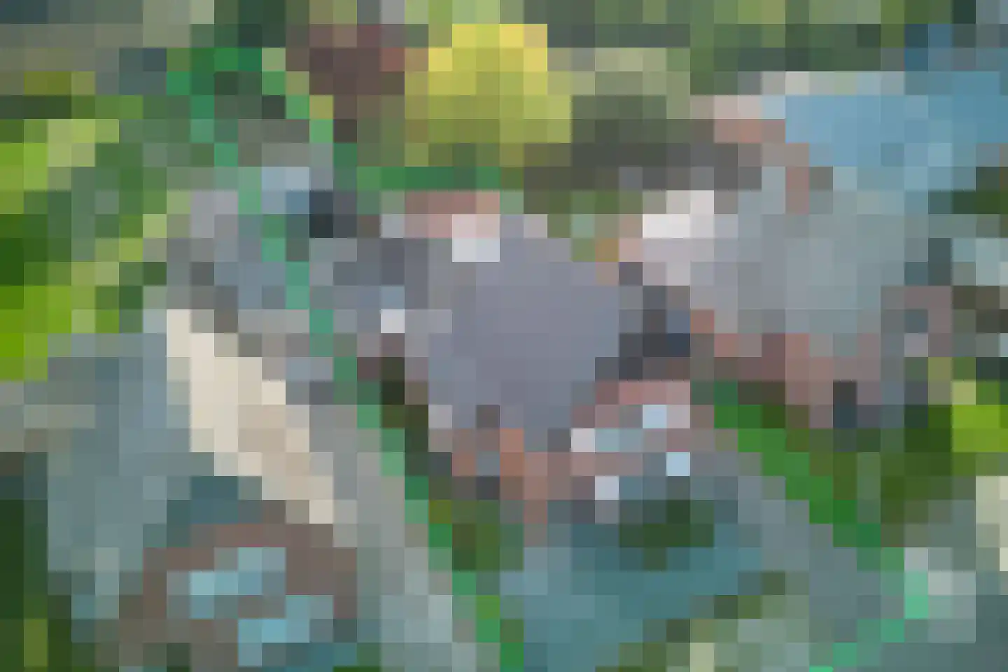 Barrier 8 Bergeijk thumbnail 18