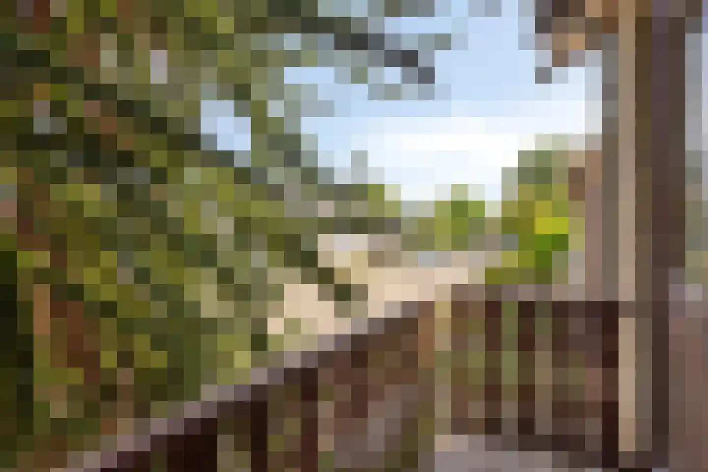 Barrierlaan 67 Helmond thumbnail 36