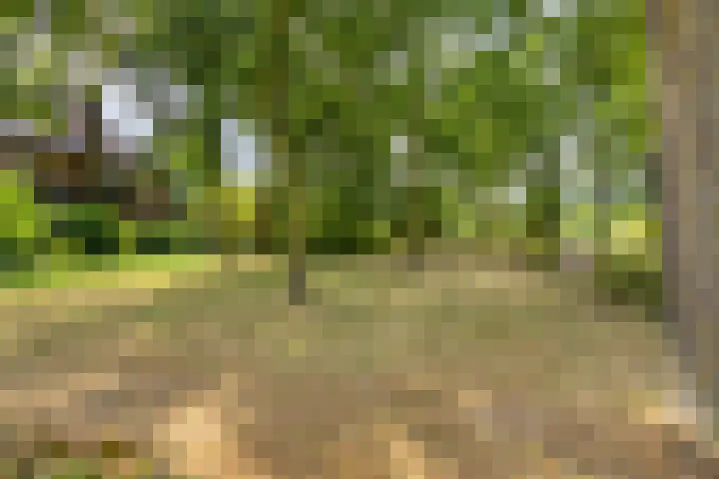 Barrierlaan 67 Helmond thumbnail 37