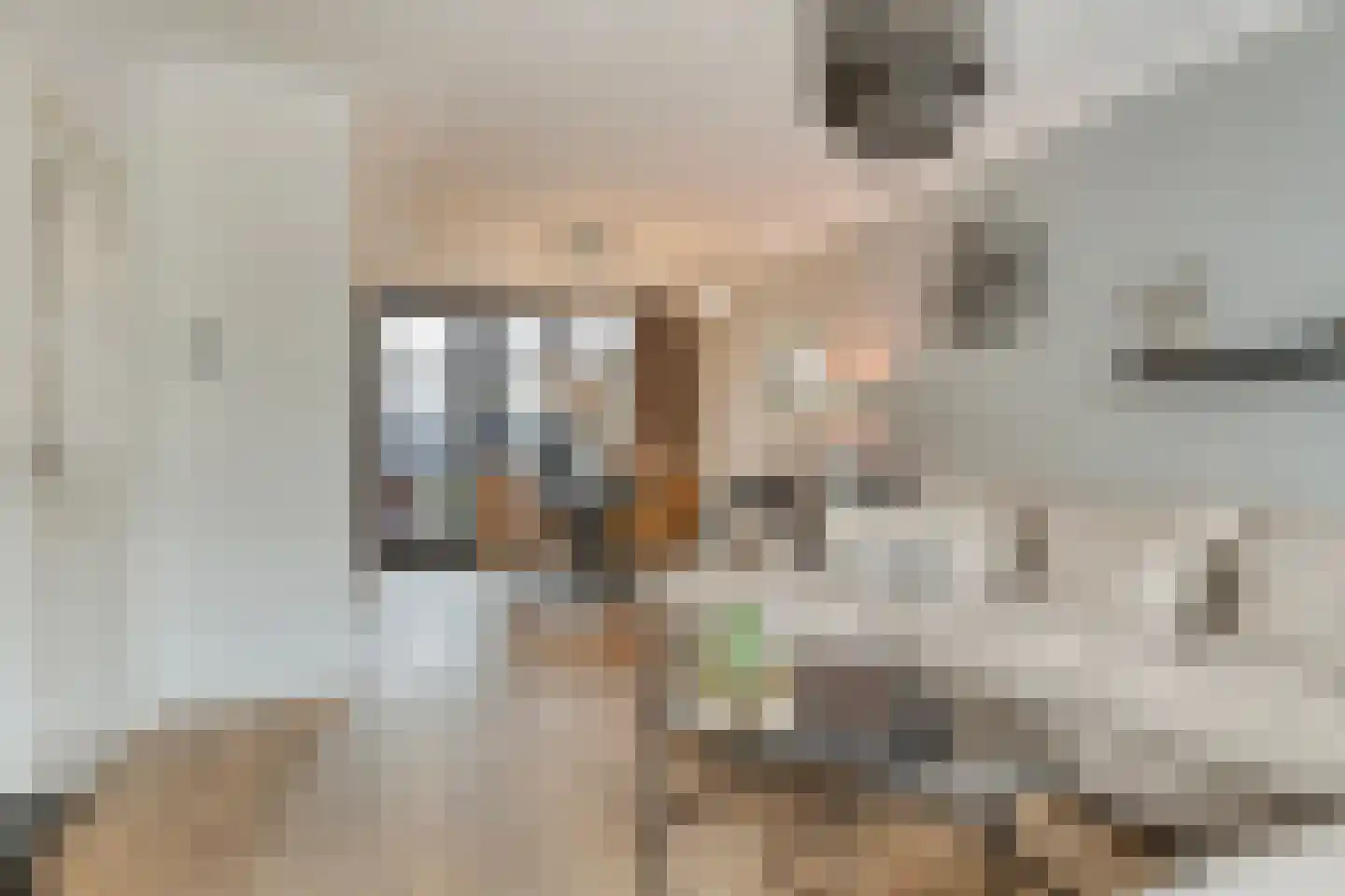 Barrierlaan 78 Helmond thumbnail 17