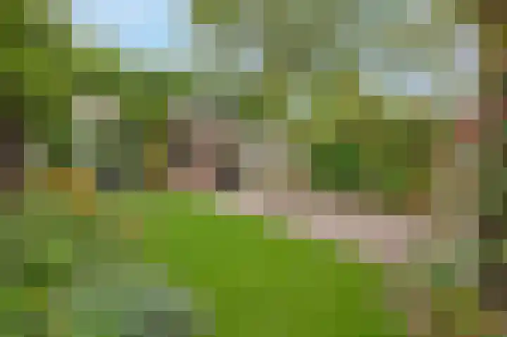 Barrierweg 167 Eindhoven thumbnail 50