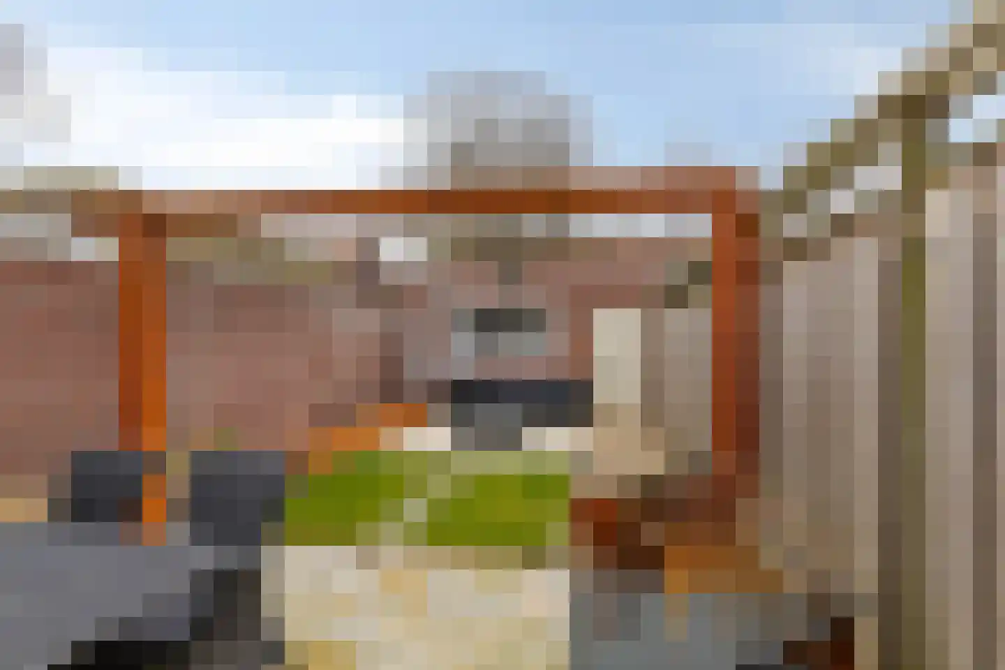 Barrierweg 179 Eindhoven thumbnail 21