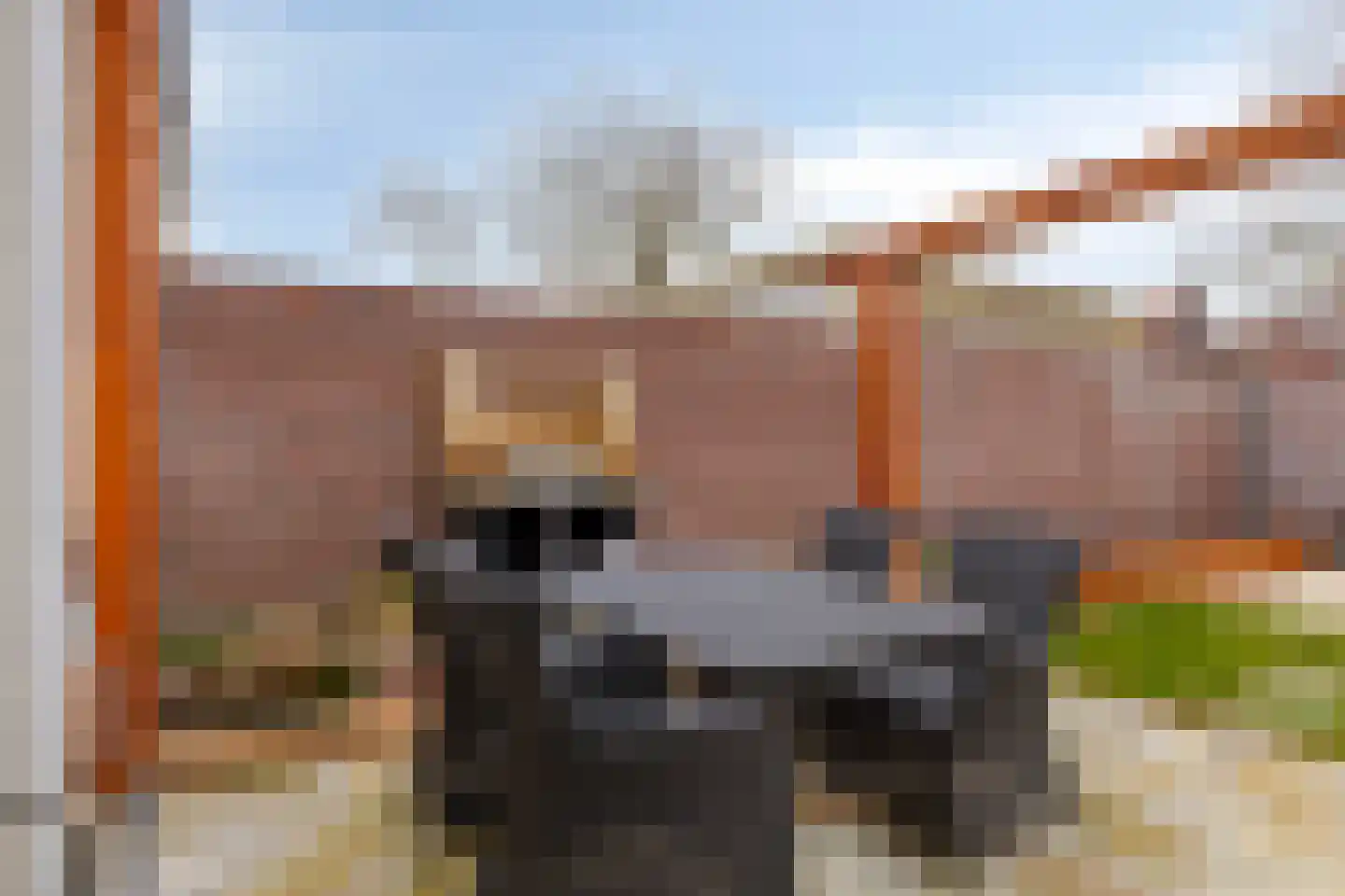 Barrierweg 179 Eindhoven thumbnail 22