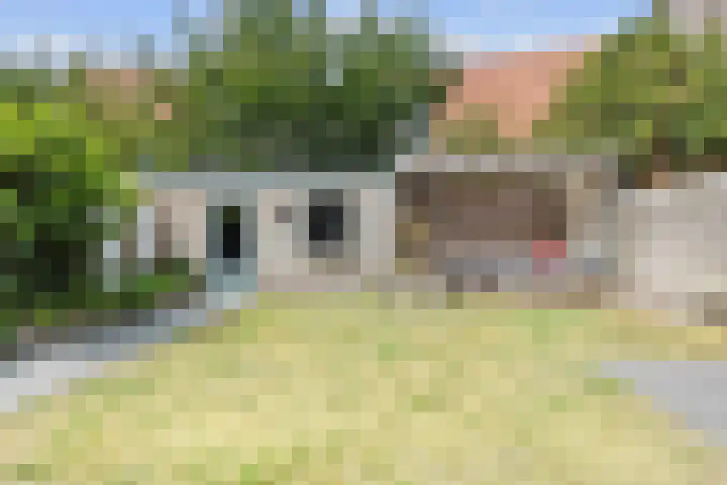 Barrierweg 194 Eindhoven thumbnail 41