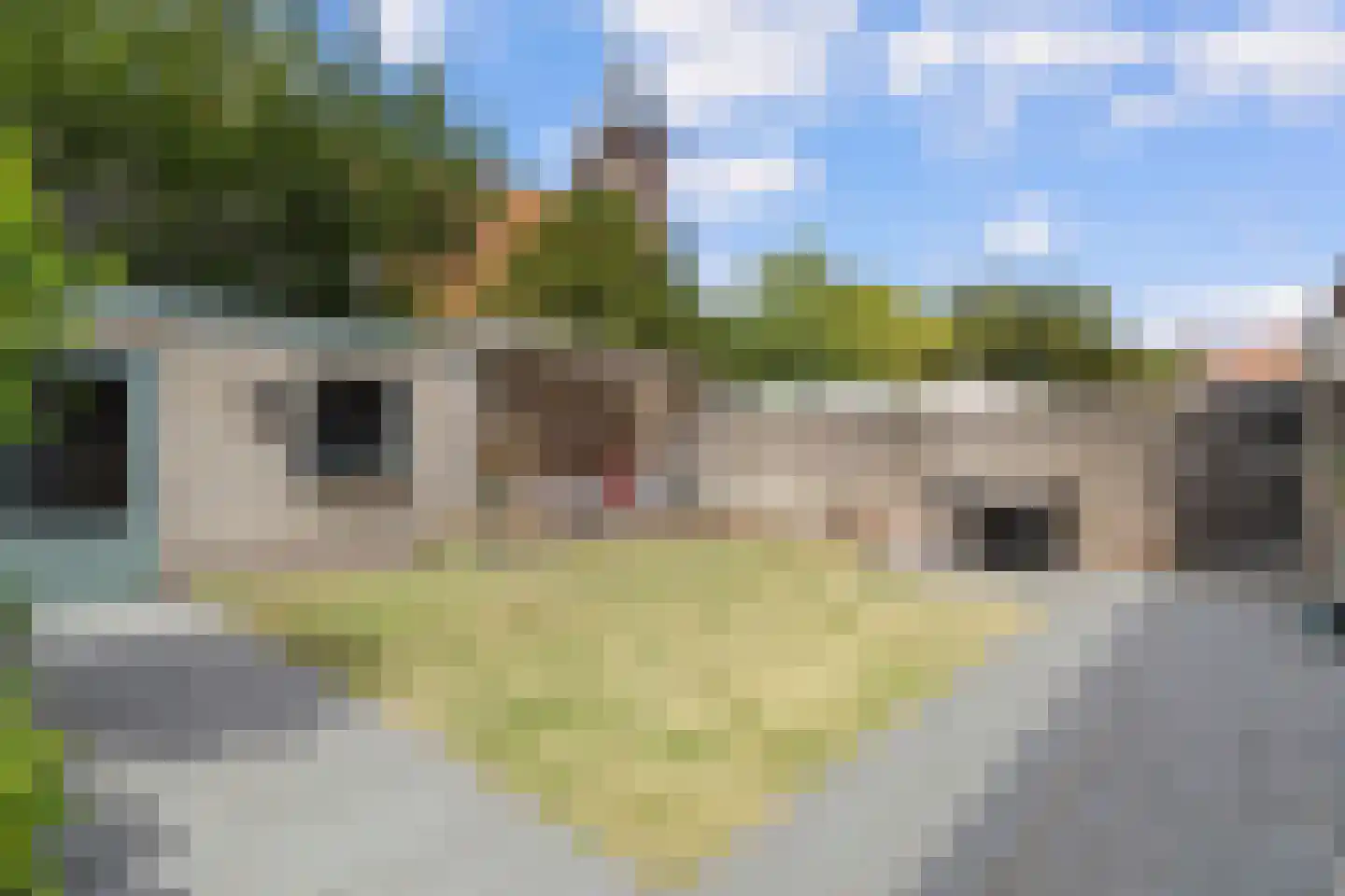 Barrierweg 194 Eindhoven thumbnail 42