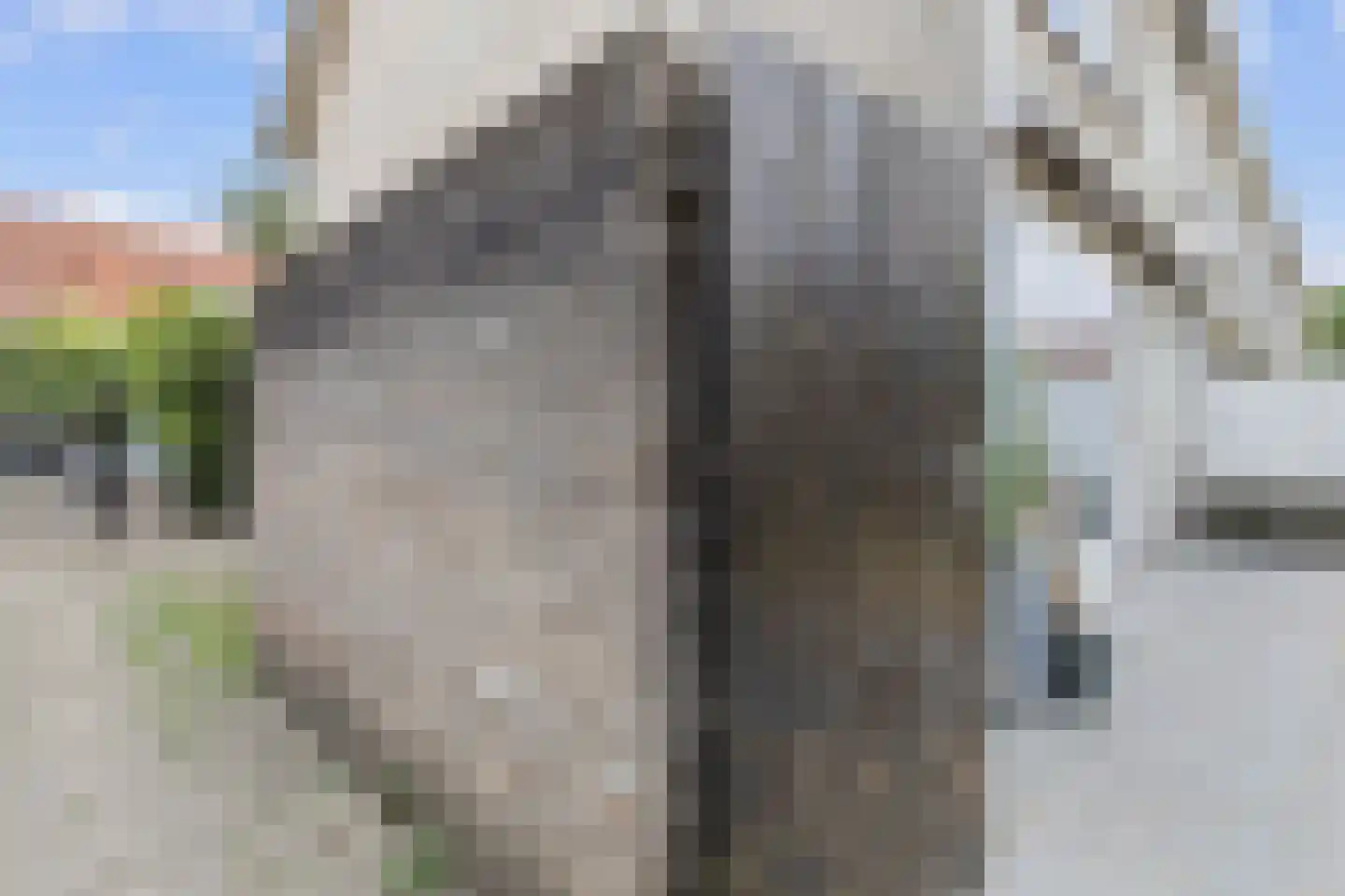 Barrierweg 194 Eindhoven thumbnail 45