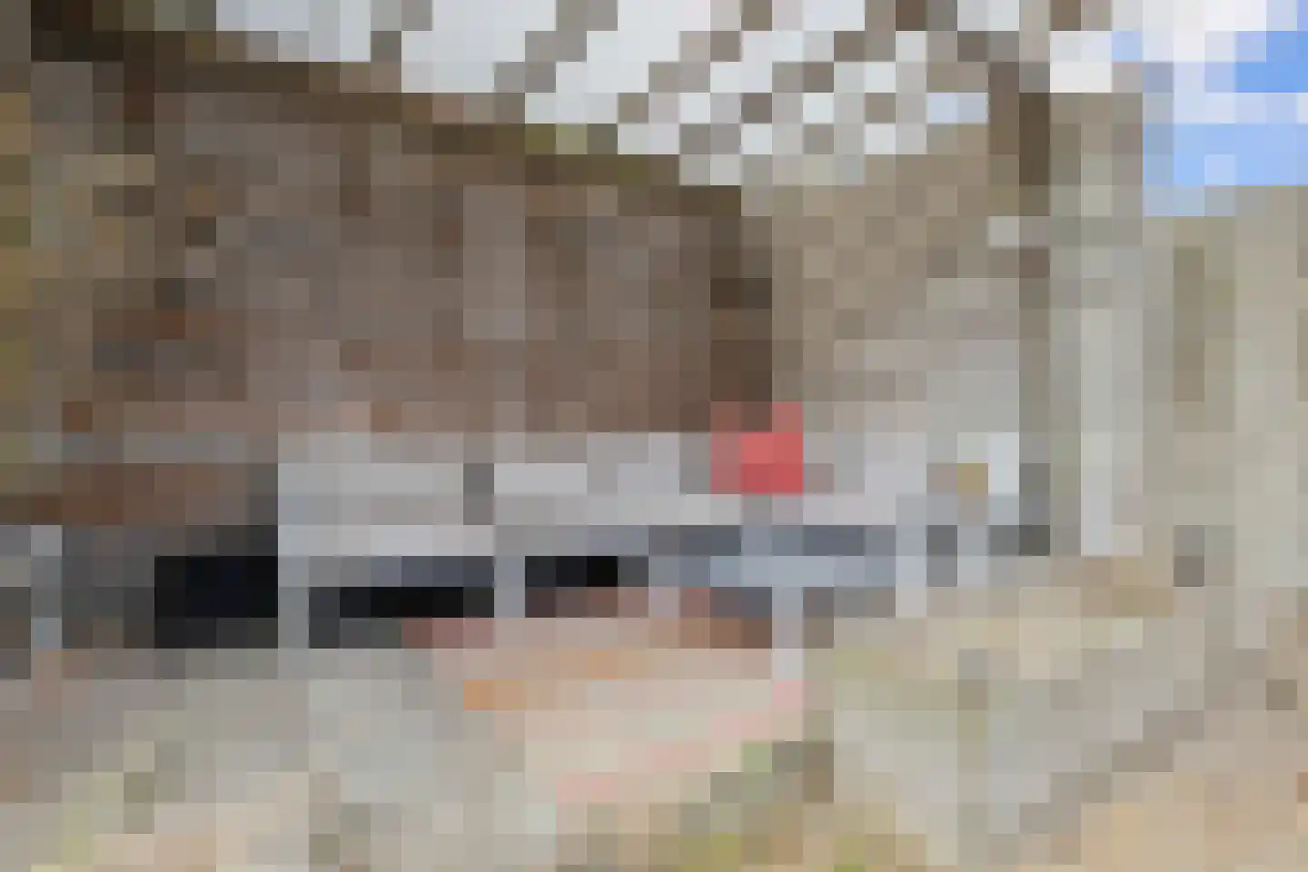 Barrierweg 194 Eindhoven thumbnail 54
