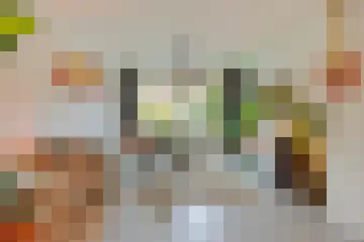 Barrierweg 213 Eindhoven thumbnail 10