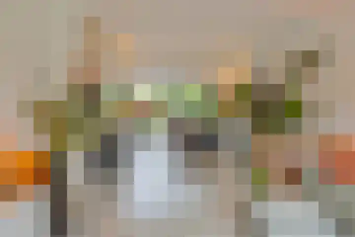 Barrierweg 213 Eindhoven thumbnail 12