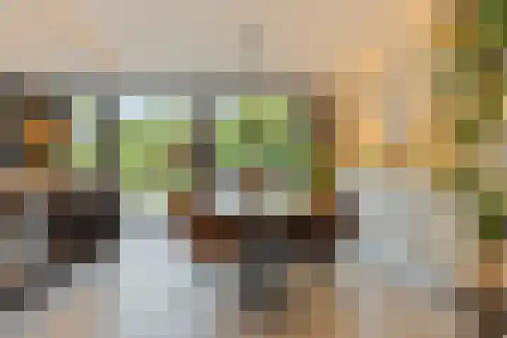 Barrierweg 213 Eindhoven thumbnail 13