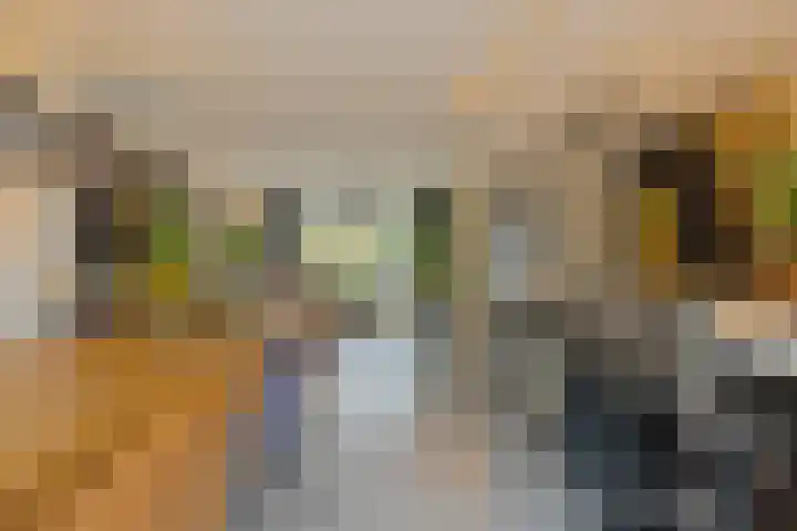 Barrierweg 213 Eindhoven thumbnail 15