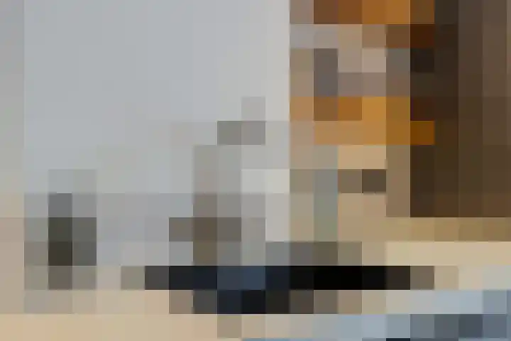 Barrierweg 213 Eindhoven thumbnail 20