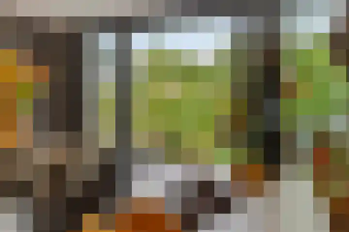 Barrierweg 213 Eindhoven thumbnail 23