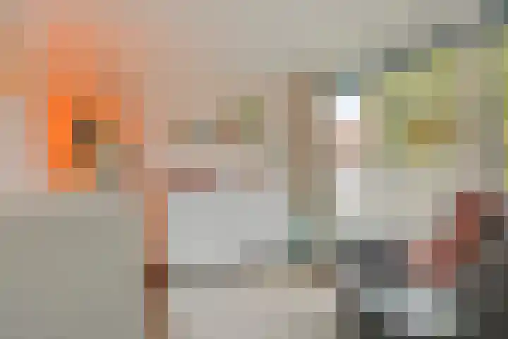 Barrierweg 213 Eindhoven thumbnail 29