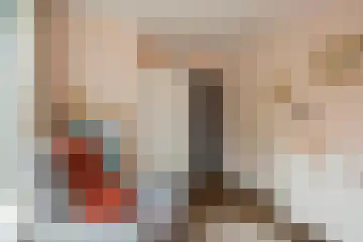 Barrierweg 213 Eindhoven thumbnail 30