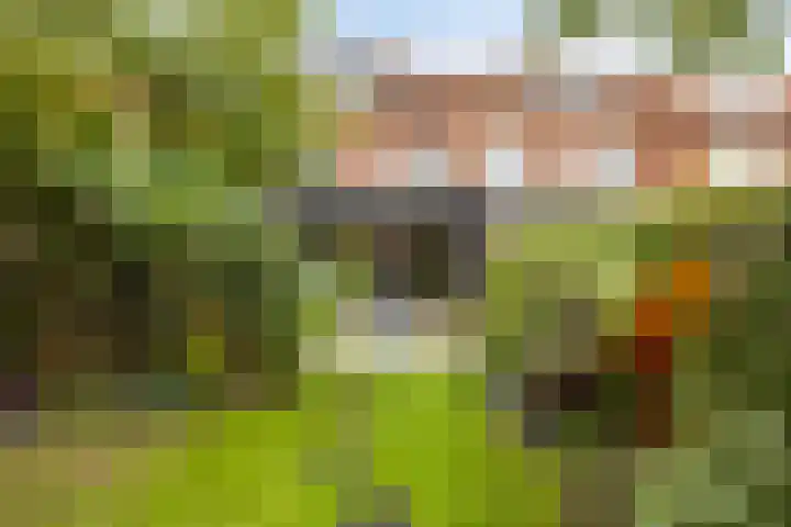 Barrierweg 213 Eindhoven thumbnail 40