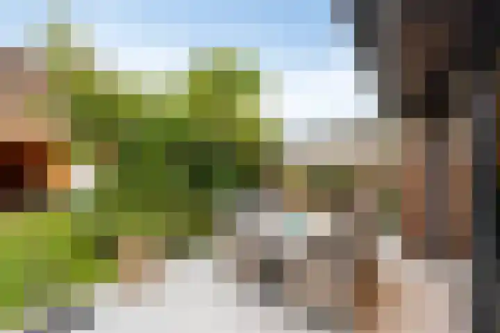 Barrierweg 213 Eindhoven thumbnail 42