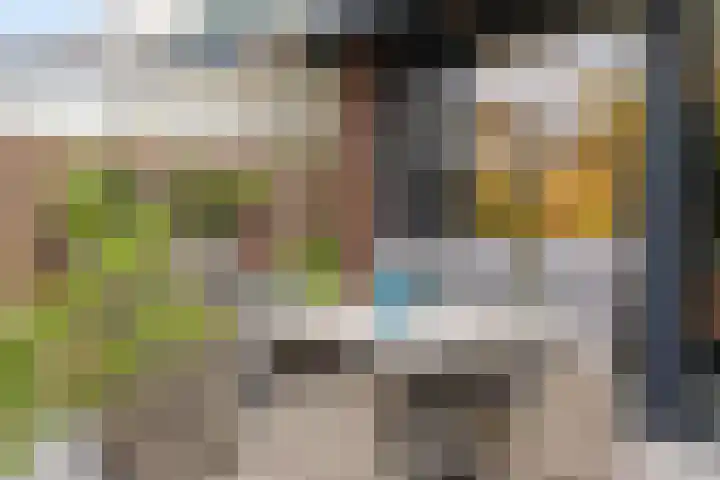 Barrierweg 213 Eindhoven thumbnail 43