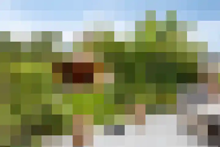 Barrierweg 213 Eindhoven thumbnail 44