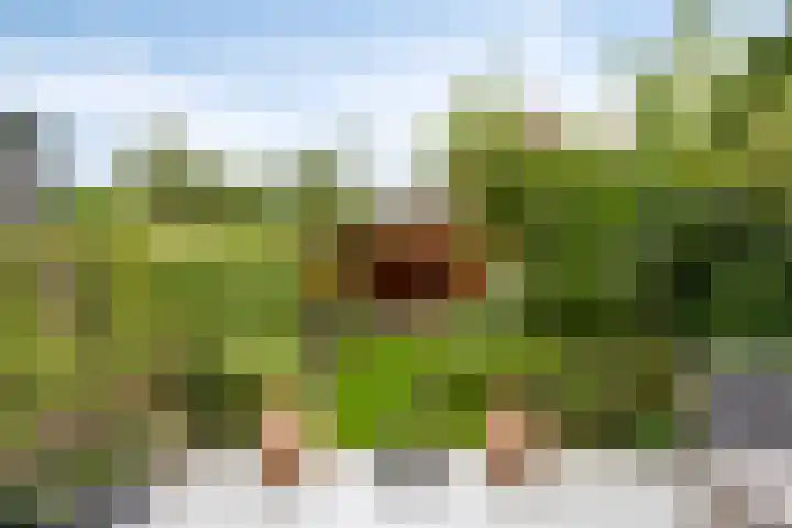 Barrierweg 213 Eindhoven thumbnail 45