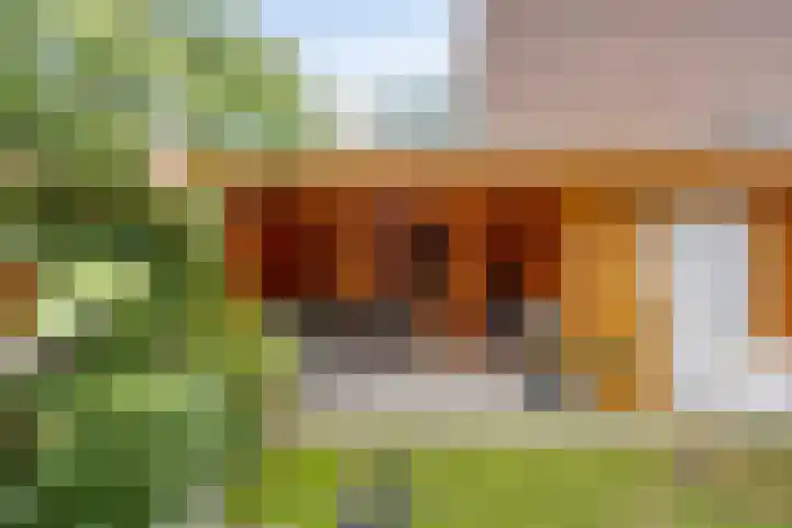 Barrierweg 213 Eindhoven thumbnail 47