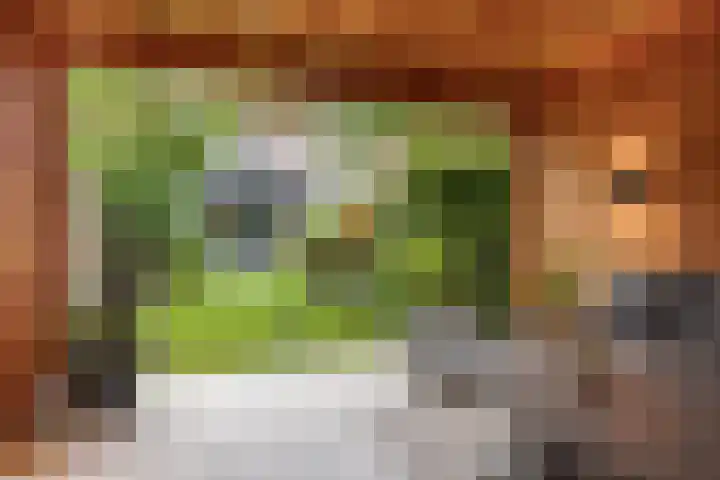 Barrierweg 213 Eindhoven thumbnail 49