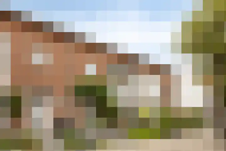 Barrierweg 213 Eindhoven thumbnail 5