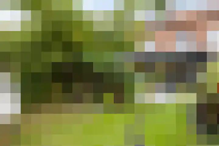 Barrierweg 213 Eindhoven thumbnail 50