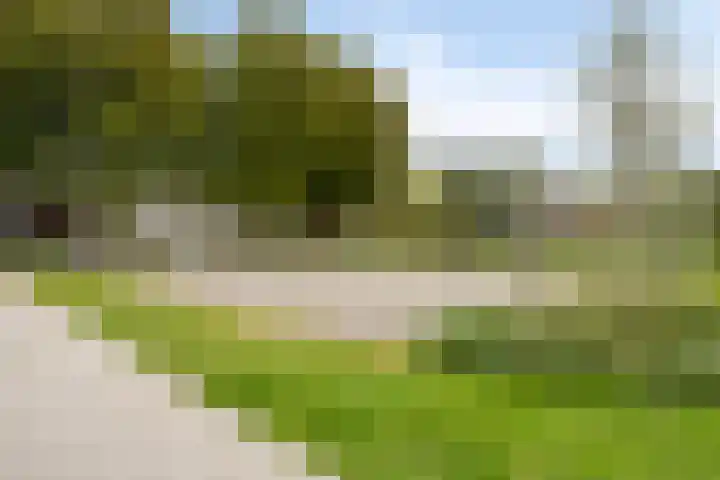 Barrierweg 213 Eindhoven thumbnail 54