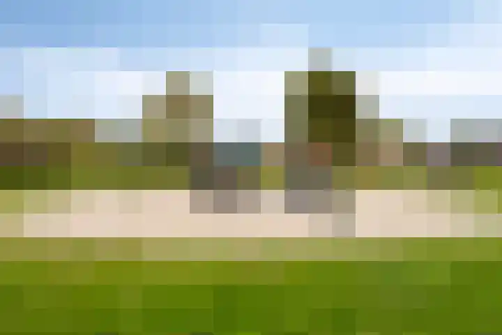 Barrierweg 213 Eindhoven thumbnail 57