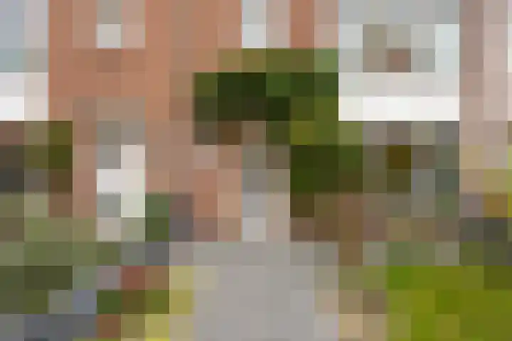Barrierweg 213 Eindhoven thumbnail 6