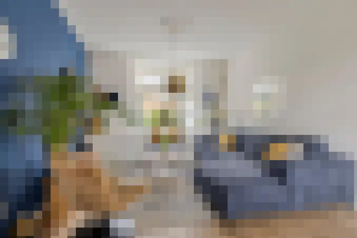Barrierweg 223 Eindhoven thumbnail 11