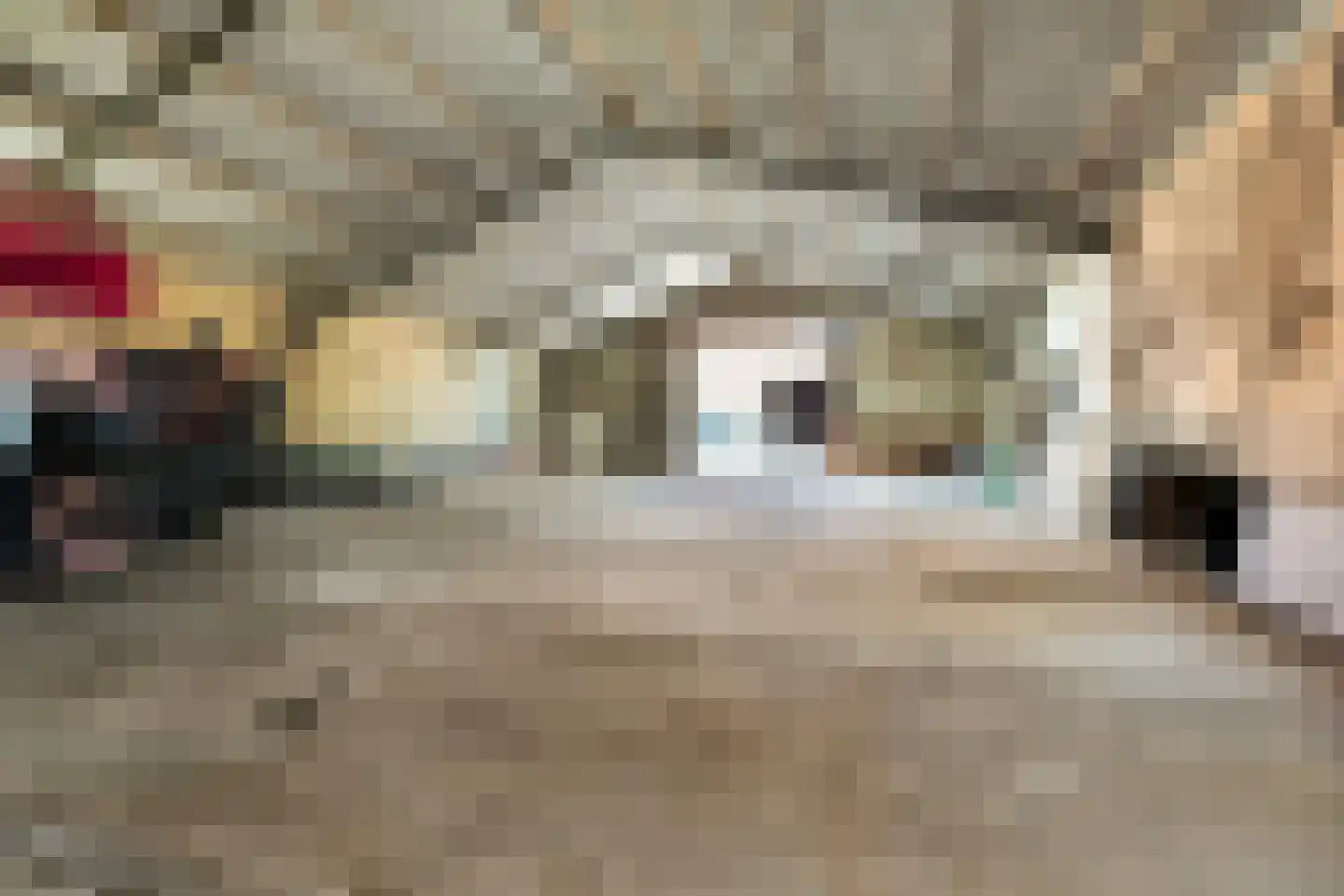 Barsingerweg 11 Wieringerwaard thumbnail 20