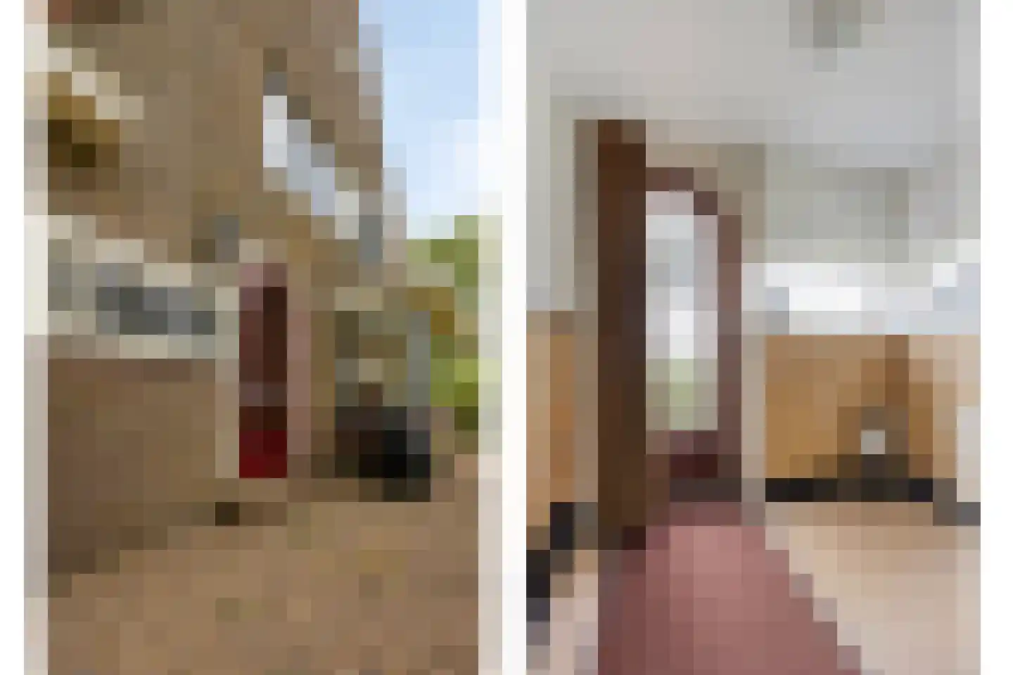 Barsingerweg 11 Wieringerwaard thumbnail 4