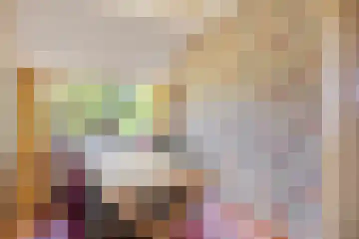 Barsweg 12 Hollandscheveld thumbnail 14