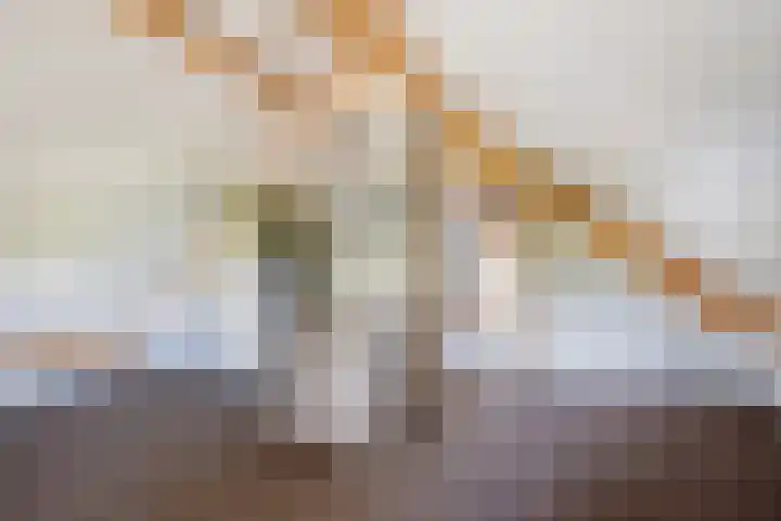 Barsweg 12 Hollandscheveld thumbnail 32
